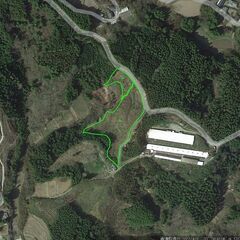 8.8反の山林 ： 竹田市久住町-F-0214 - 竹田市