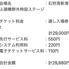 ※お譲り先確定※ライジングサンロックフェスティバル2024 通し入場券