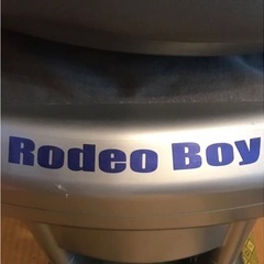ロデオボーイ
の画像