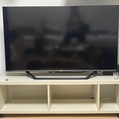 家電 テレビ 液晶テレビ