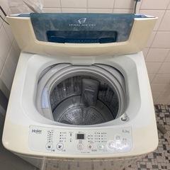 家電 生活家電 洗濯機