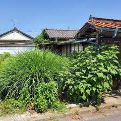 草刈り代行