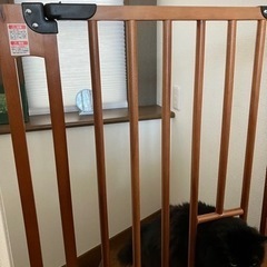 突っ張り式木製ベビーゲート　猫通り穴付きの画像