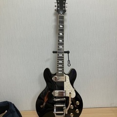 Epiphone casino coupe   