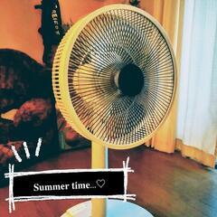 空調家電  kasiba 華芝/リビング扇風機 KCF-2130PM