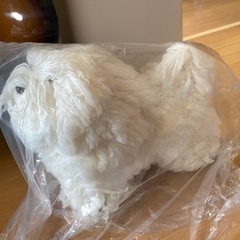 新品☆トリミング練習用模型🐩(トイプードル)最大3個購入可能です！