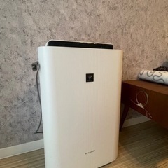 家電 季節、空調家電 空気清浄機