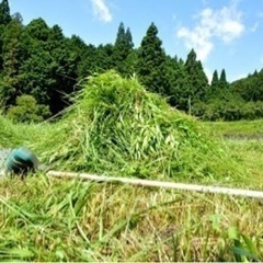土曜日、日曜日限定！草刈りします！！
