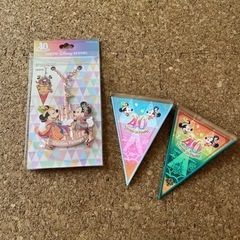 入手困難品！
ディズニーランド40周年グッズ　バケーション　