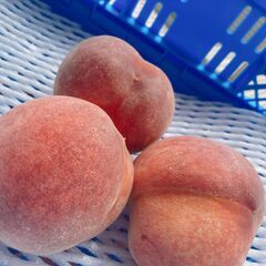 【今年最後の桃！】山梨県産のあま～い桃！約3kg（約9～18玉）「アウトレット品」「ひと夏甘ーいももいで」【基本的に土日OK】の画像