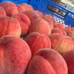 【今年最後の桃！】山梨県産のあま～い桃！約3kg（約9～18玉）「アウトレット品」「ひと夏甘ーいももいで」【基本的に土日OK】の画像