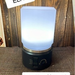 センサーライト　ELPA