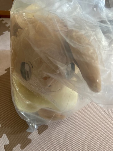 ポケモン　一番くじ　イーブイ