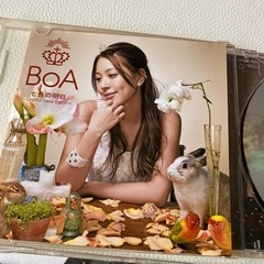 BOA  CDの画像