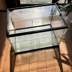 45センチ水槽の画像