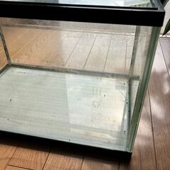 45センチ水槽の画像