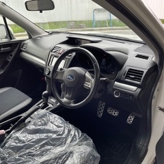 フォレスター　人気車の画像