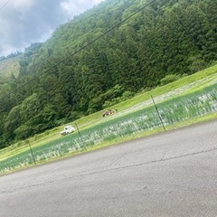 草刈り　手伝い