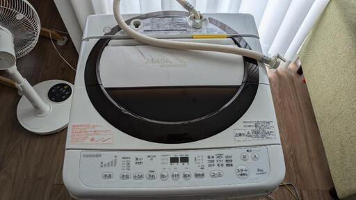 家電 生活家電 洗濯機