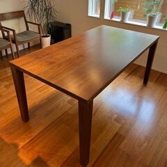 IKEA KALLHALL折りたたみテーブル & FRÖSVIフロースヴィチェア