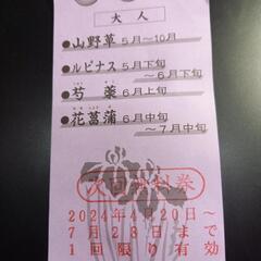 チケットの画像
