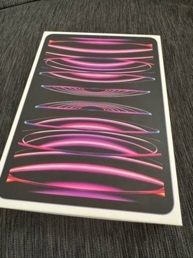 アップル Apple iPad Pro（第4世代） 11インチ Wi-Fi Apple M2チップ 256GB スペースグレイ MNXF3J/A