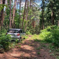 【成約済】山林物件188　青森県青森市鶴ケ坂①