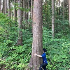 【成約済】山林物件189　青森県青森市鶴ケ坂②