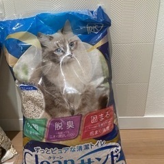 未開封　猫砂　アイリスオーヤマ　クリーンサンド