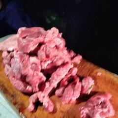 6日火曜日昼豊平川BBQ参加者募集中！