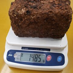 ☆椎茸の廃菌床☆畑の肥料　家庭菜園☆カブトムシなどの飼育にも！　