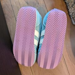 21センチ　ズックの画像