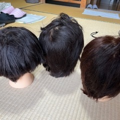 練習用ウィッグ3体の画像
