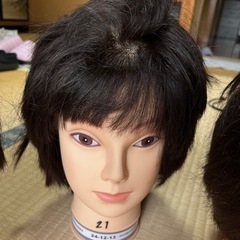 練習用ウィッグ3体の画像