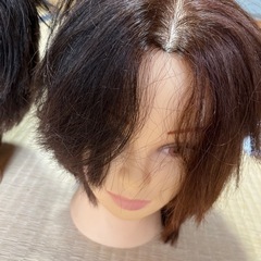 練習用ウィッグ3体の画像
