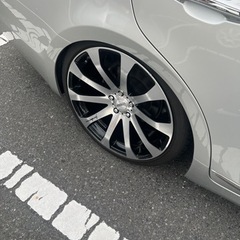 ヴェネルディ 20インチの画像