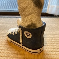 猫雑貨　猫の置物の画像
