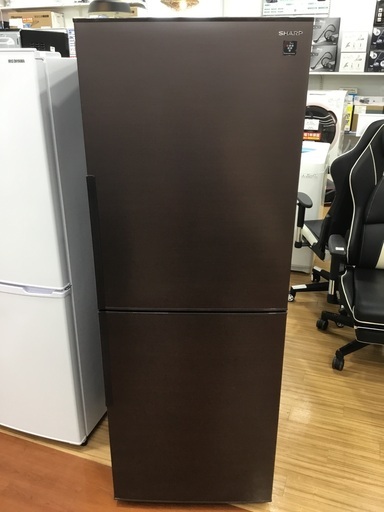 【1年保証】SHARP 2ドア冷蔵庫をご紹介します！トレジャーファクトリーつくば店