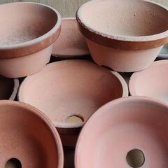土鉢10個200円の画像