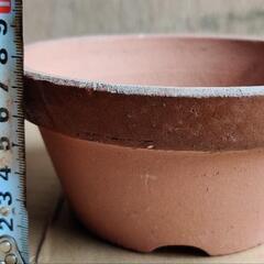 土鉢10個200円の画像