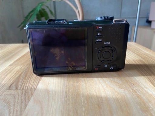 sigma DP2 Merrill
