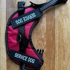 犬のハーネス　fan fan PETオリジナル
