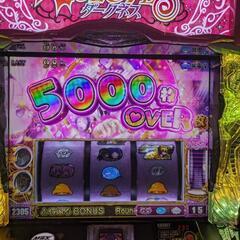 昨日はとりきれず5500枚