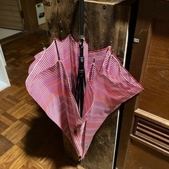 赤いストライプ傘