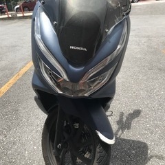 PCXjf81