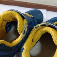ノースフェイス　スニーカー　THE NORTH FACEの画像