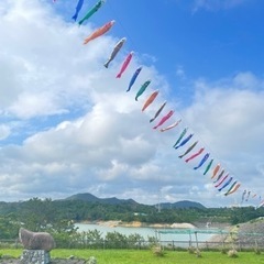 ダム友