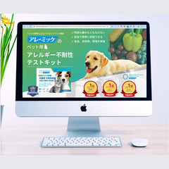【スキル底上げ塾】ワードプレスレッスン！HTML・CSSコーディングをマスターしたい方、絶対にスキルが身につくレクチャー致しますの画像