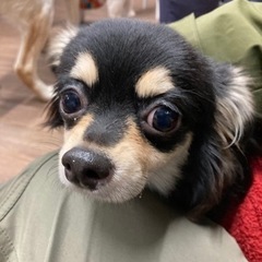 撮影