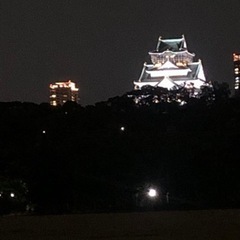 大阪府堺市で活動しているソフトボールチームです。